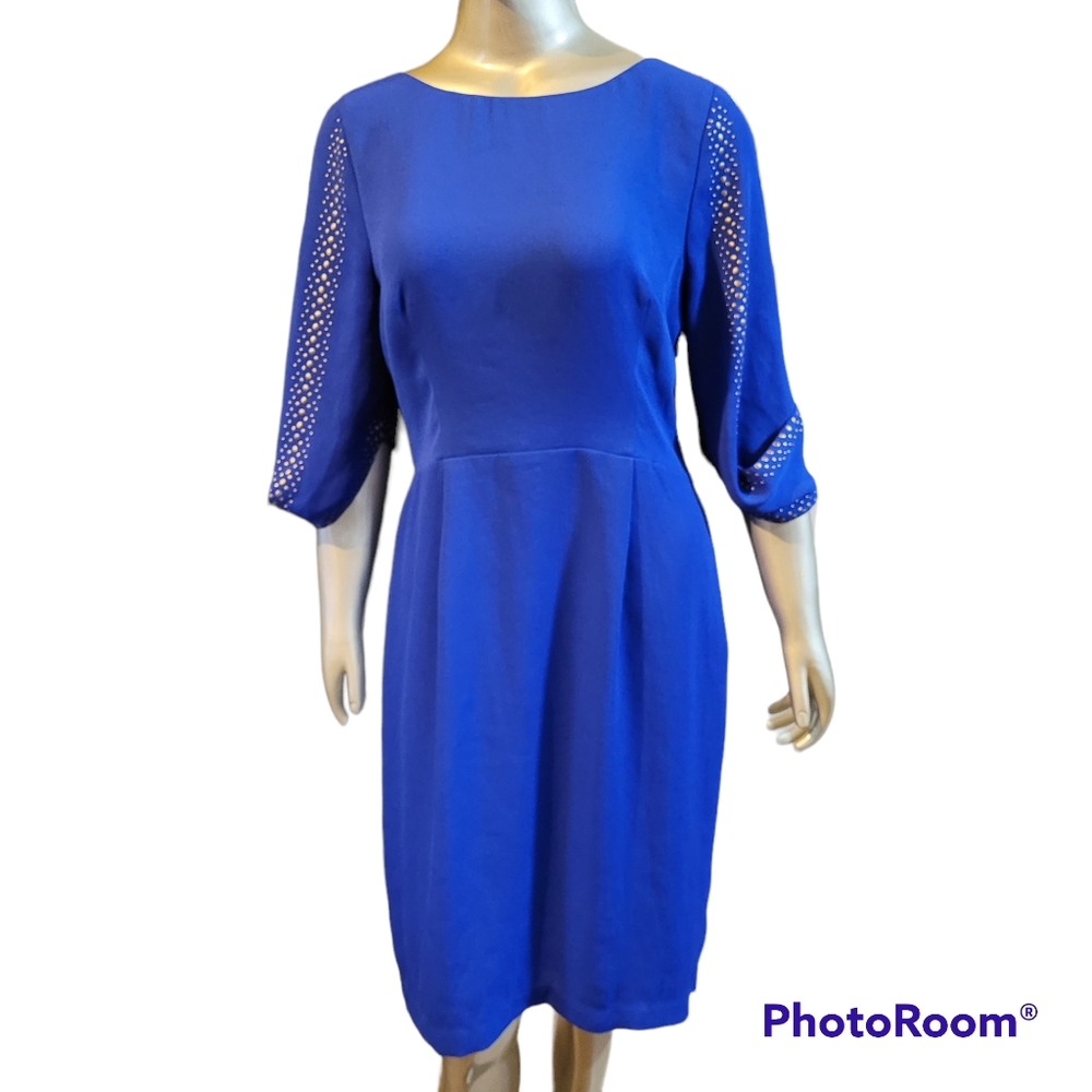 BCBGMaxAzria Blue Dress with Mesh Sleeves